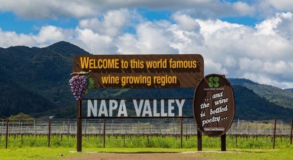 Best Napa Valley Wineries for Newcomers