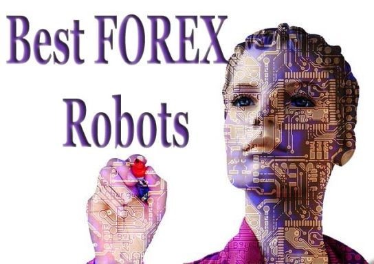 An Insight Into Demo Forex Trading Accounts