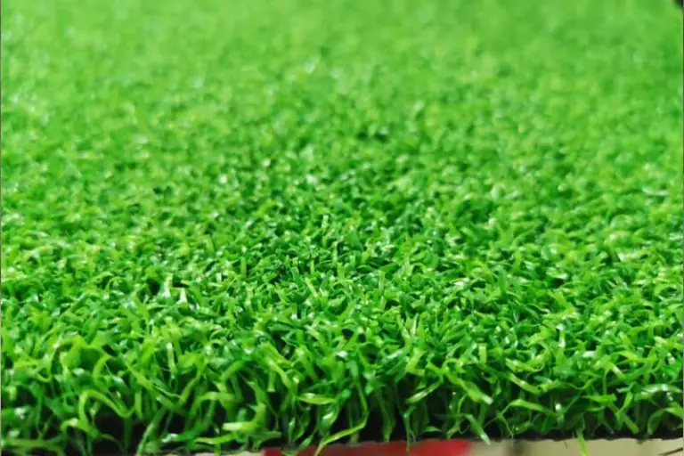 Which Are the Best Sports Grass Melbourne Availing?