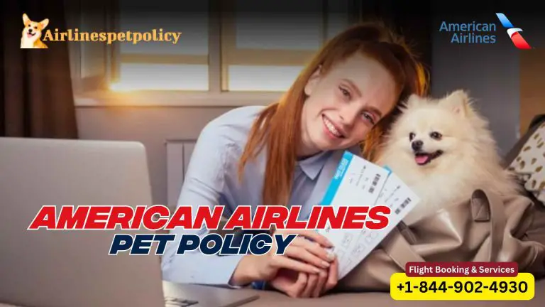 What is American Airlines pet policy? Book & Fly with your pet