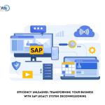 Efficiency Unleashed: Transforming Your Business with SAP Legacy System Decommissioning | AvenDATA