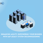 Enhancing Agility: Empowering Your Business with SAP Legacy System Decommissioning | AvenData