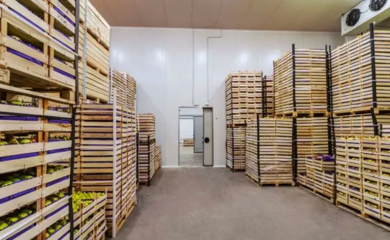 Unlocking the Benefits of Cold Storage Warehouses for the Food Sector