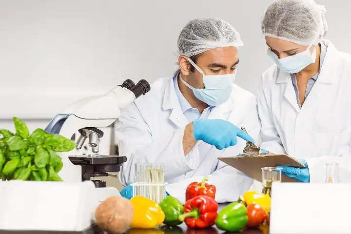 Food Safety Testing Market