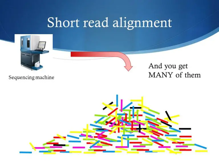 Insights Unveiled: Short To read Sequencing Market Projections 2023 To 2033