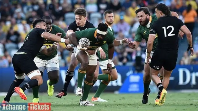 Springboks Remain Positive Despite Loss to All Blacks, Scrumhalf Vows to Focus on the Positives