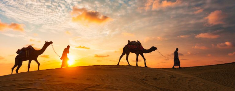 Vip Desert Safari Dubai: A Journey of Discovery