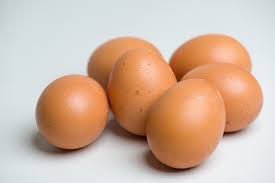 2018 -2028 Vegan Egg Market Share, Trends and Market Overview | Report Reviewed by Experts