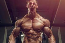 Best Legal Steroids That Work: Top-Rated Products on the