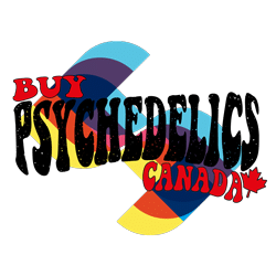 Unlocking Bliss: Where to Buy MDMA Online in Canada – Your Ultimate Guide