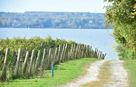 18 Finger Lakes Wineries