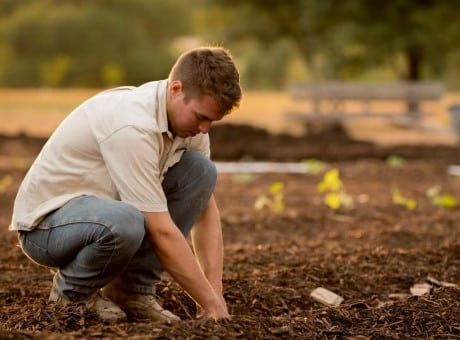 The Best Tips for the Next Generation of Farmers