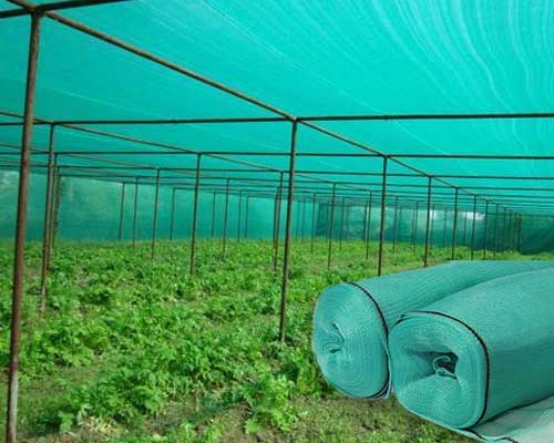 Agriculture Nets Market Growth, Trends, Absolute Opportunity and Value Chain 2030