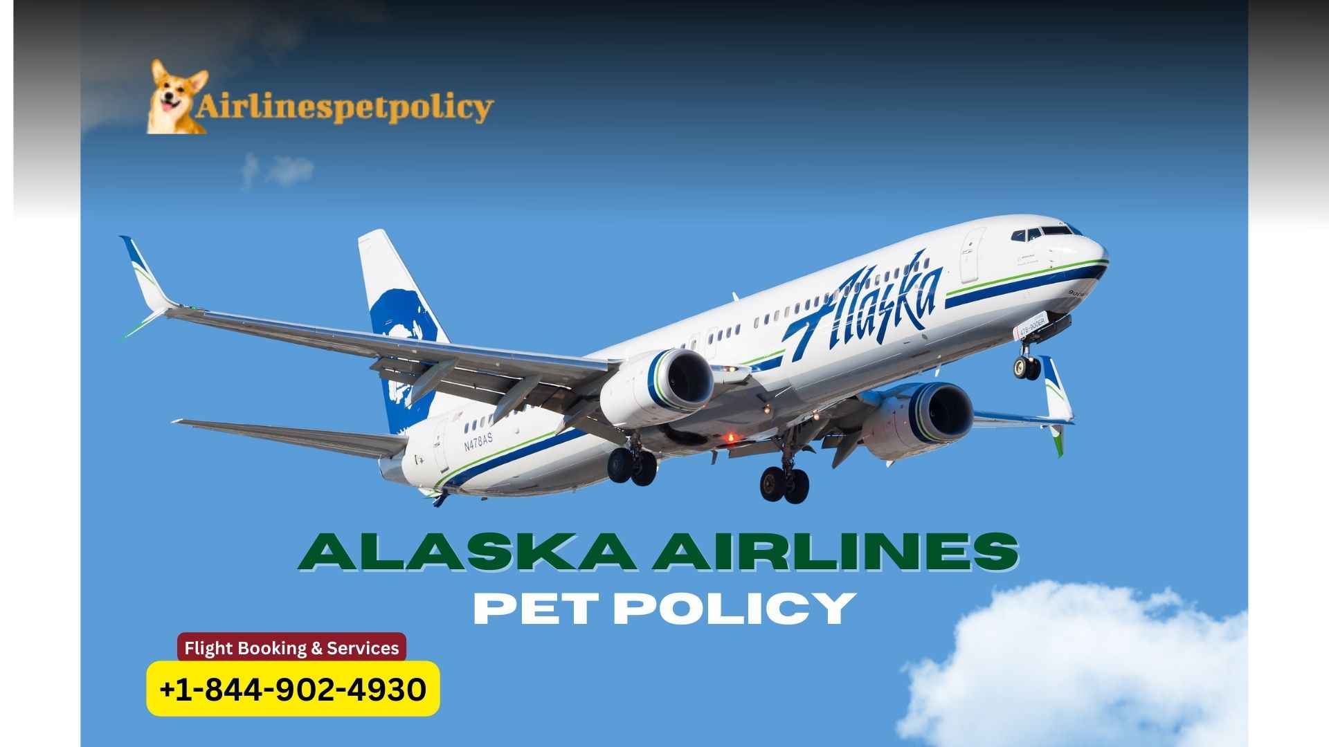 Alaska Airlines Pet Policy