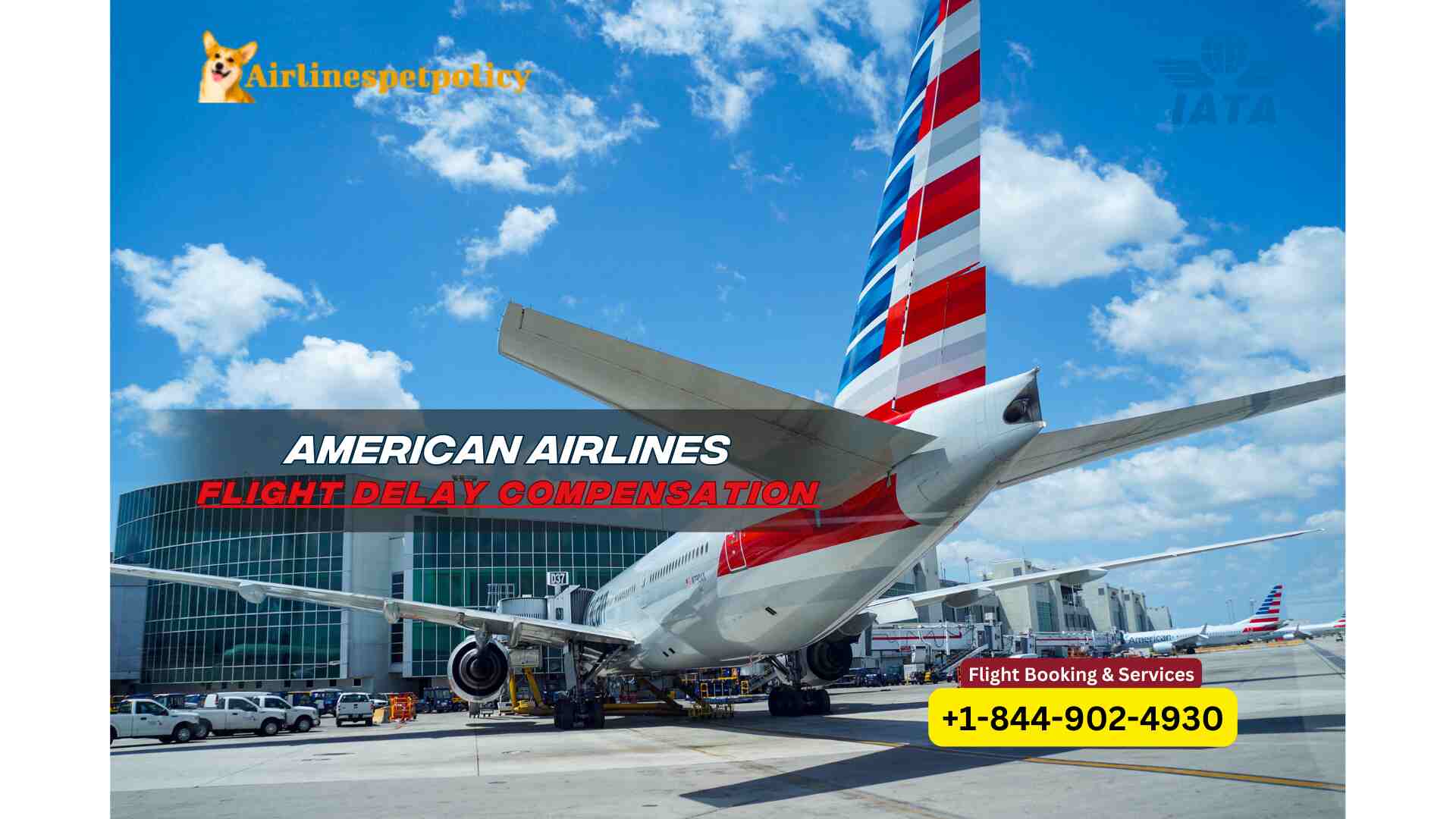American Flight Delay Compensation