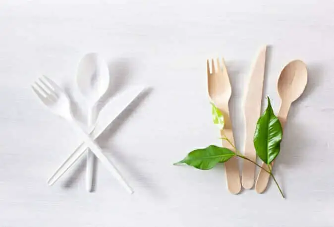 Biodegradable Cutlery Market