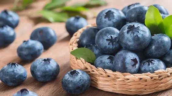 Blueberry Extract Market Size 2018 At More Than High CAGR By 2028 | TechSci Research