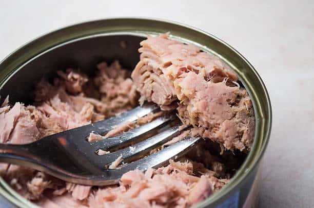 2018-2028 Canned Tuna Market Size Detailed Report with Downstream Market Analysis | Research by TechSci Research