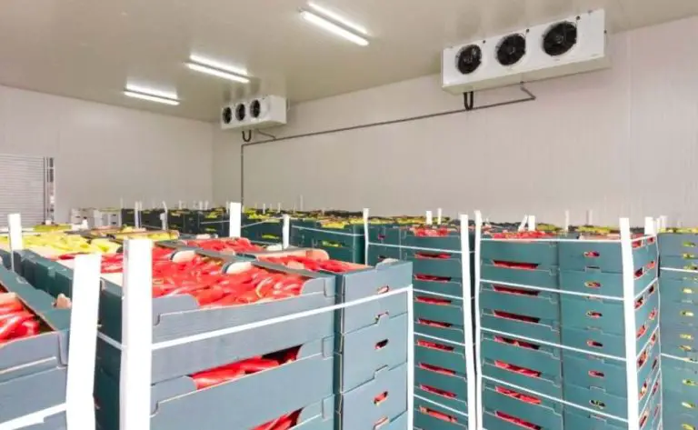 Understanding the Different Types of Cold Storage Solutions in the Food Sector