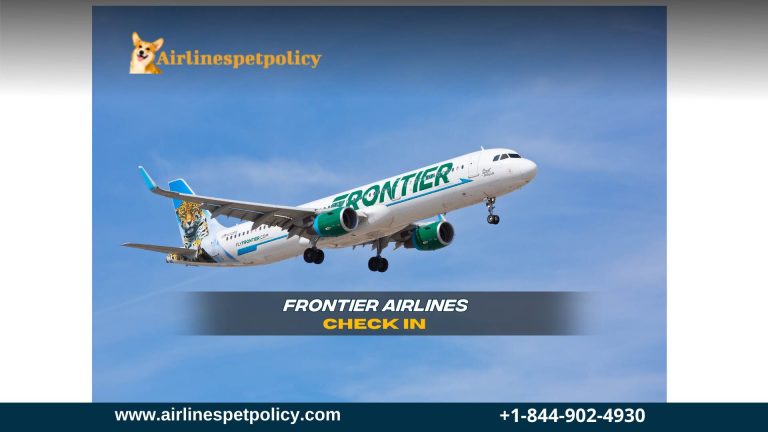 How to Check-in for a Flight on Frontier Airlines?