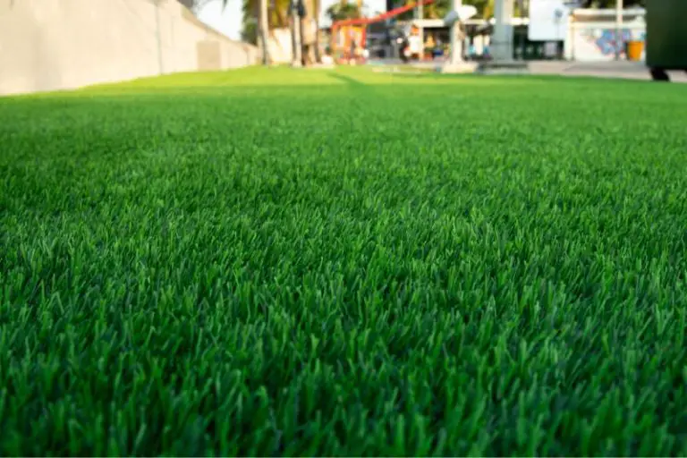 How Artificial Grass Is A Boon For Specially-Abled People?