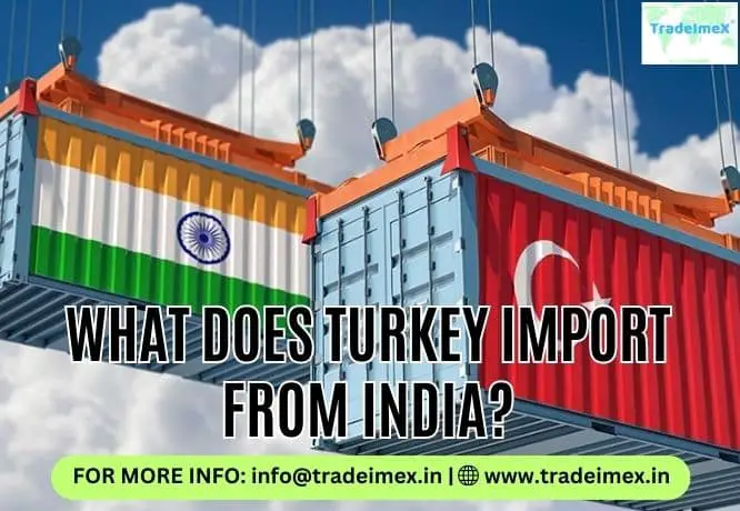 WHAT DOES TURKEY IMPORT FROM INDIA