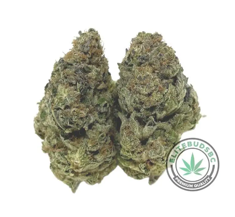 bluedream-e1673300454268