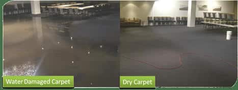 Ways To Eliminate The Bad Odor After Carpet Water Damage