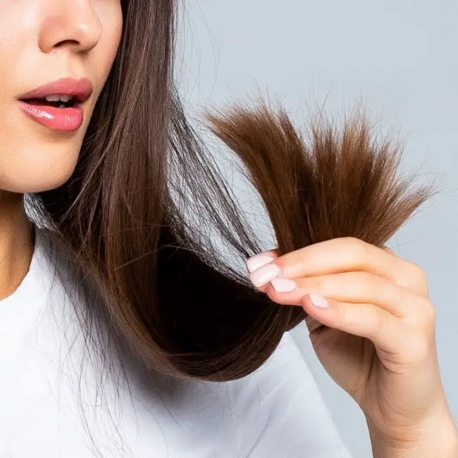 All About Split Ends: How to Prevent and Repair Damaged Hair