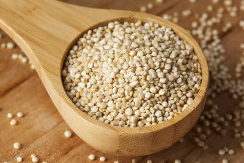 Organic Quinoa Seeds Market Share, Growth Rate, Key Players, and Forecast 2023-2028