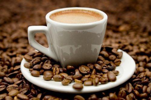 Sourcing The Premium Coffee Beans: Organic Coffee Beans Wholesale