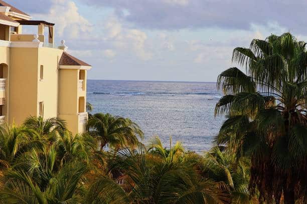 Cannabis Paradise: Legal Weed Farms Thrive in Montego Bay”