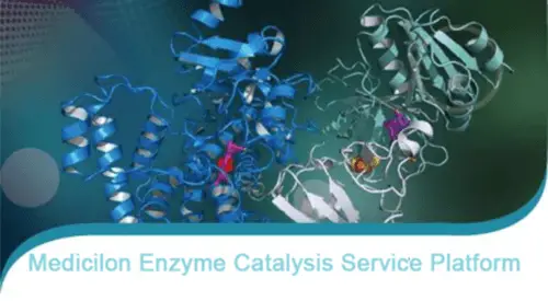 Enzyme Catalysis