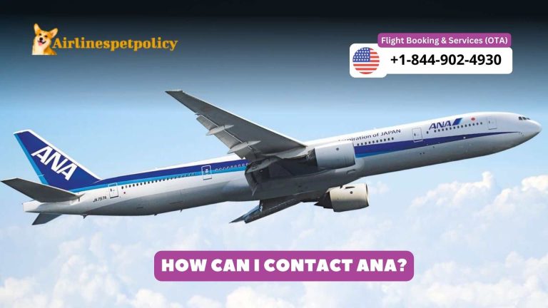 How Can I Contact ANA? | All Nippon Airways Helpline 24/7