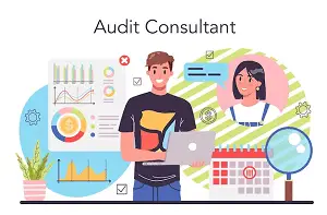 Audit Consultant