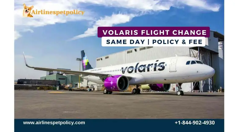 How to change your Volaris flight? | Same Day | Policy & Fee