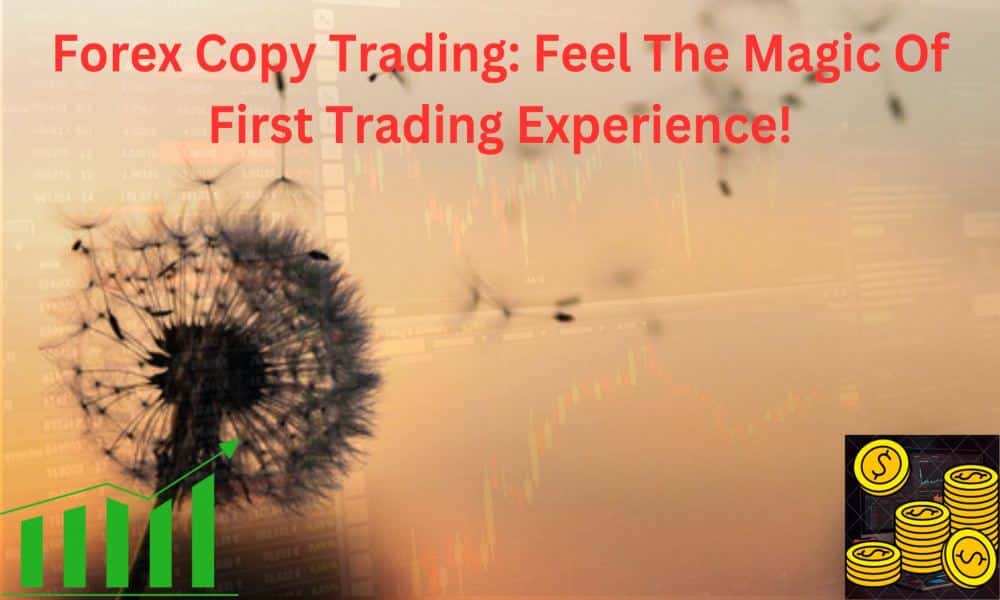 Forex Copy Trading Feel The Magic Of First Trading Experience! (2)