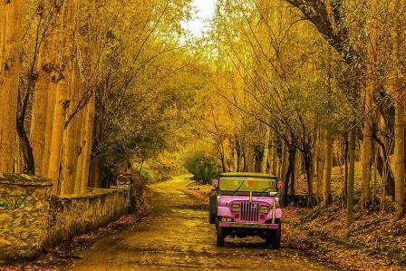 https://travelsdomain.com/exploring-the-stunning-beauty-of-hoper-valley-pakistan/