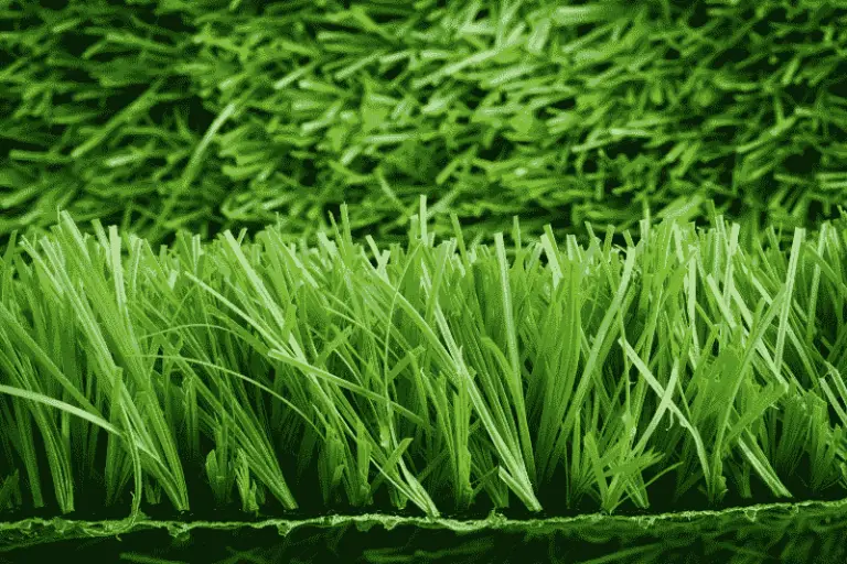 Why Do People Prefer Artificial Grass?