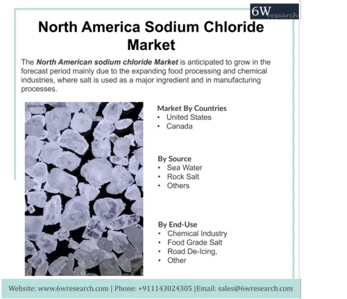 North America Sodium Chloride Market (2023-2029) | 6Wresearch