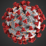 structure of coronavirus