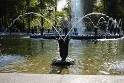 The Price Tag Of Scott Pond Fountains: 5 Factors To Consider Before Making A Purchase