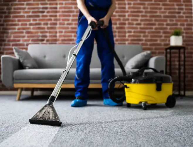 A Comprehensive Guide to Residential Carpet Cleaning Service - TheOmniBuzz