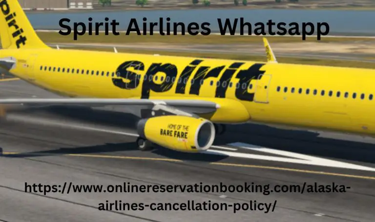 Spirit Airlines Whatsapp