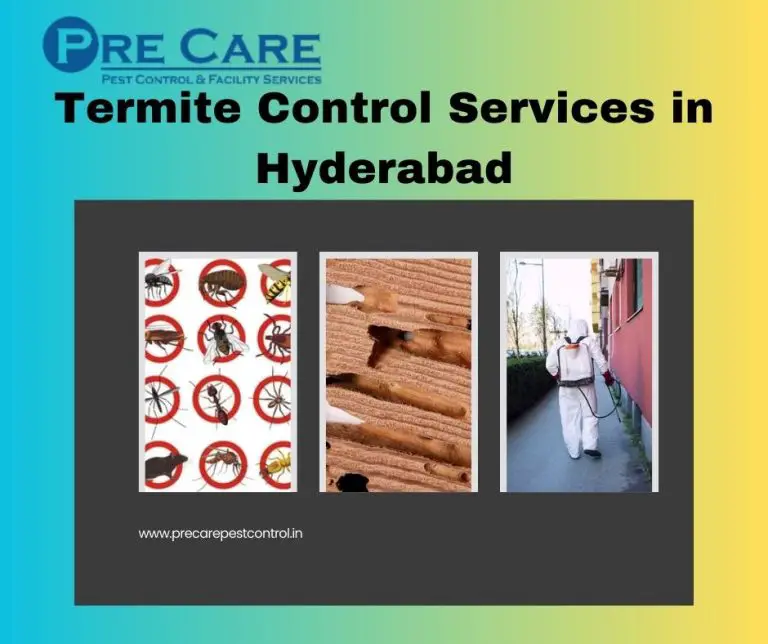 Termite Control in Hyderabad | Pre Care Pest Control