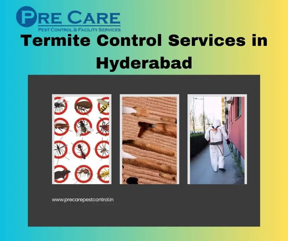 Termite Control Services in Hyderabad  Pre Care Pest Control