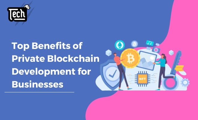 Top Benefits of Private Blockchain Development for Businesses