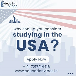 Courses in USA After 12th | Education Vibes