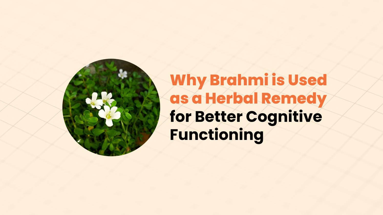 Why Brahmi is Used as a Herbal Remedy  (1)