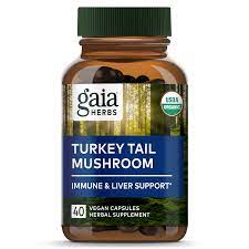 Turkey Tail Mushroom Capsules: Nature’s Immune Support Powerhouse